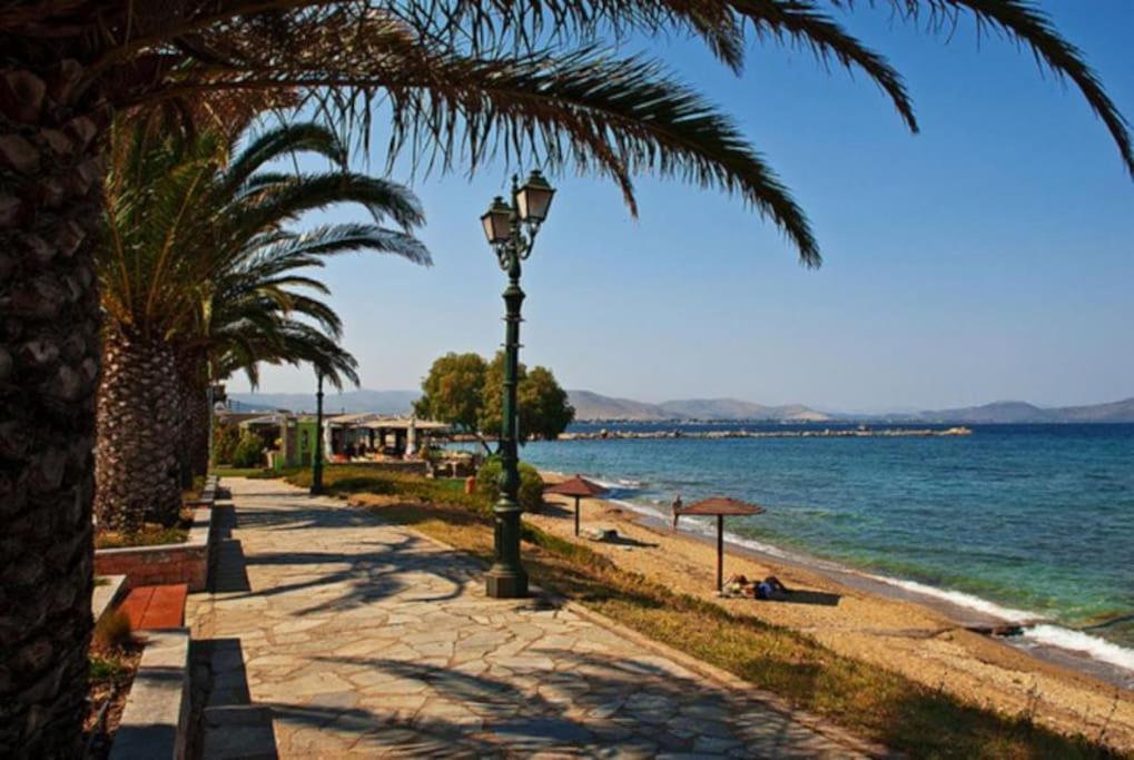 The White House Beach Villa Rafina  Exterior photo